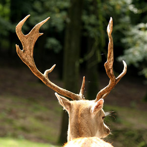 IMG_0670a.jpg IMG_0670a.jpg