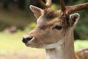 IMG_0653a.jpg IMG_0653a.jpg