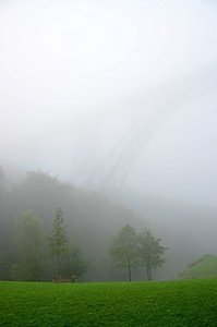 DSC_3988_ji_C.jpg DSC_3988_ji_C.jpg