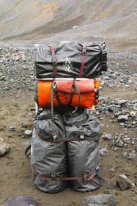 bf_SDIM8717 Kopie.jpg