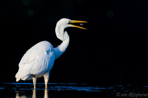 5D3_5900-1-2.jpg 5D3_5900-1-2.jpg