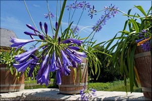 Burg Huelshoff --3.jpg