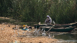 IMG_0954.jpg IMG_0954.jpg