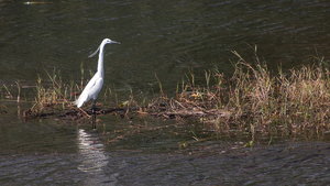 IMG_0830.jpg IMG_0830.jpg