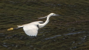 IMG_0839.jpg IMG_0839.jpg