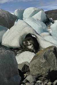 bf_SDIM9129 Kopie.jpg