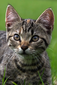 3990 -2.jpg 3990 -2.jpg