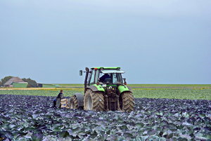 JPG_3665 Kopie (2).jpg