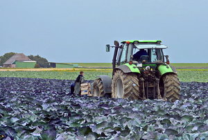 JPG_3665 Kopie (2äl).jpg