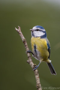 5DSR5554-1.jpg 5DSR5554-1.jpg