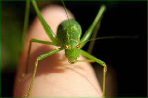 809d23c1373d40fa9410211d252b51fb.jpg 809d23c1373d40fa9410211d252b51fb.jpg