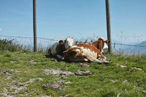 comp_unbenannt (68 von 153).jpg