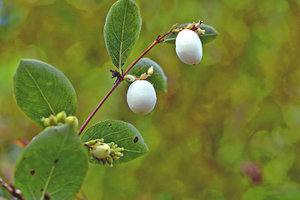 JPG_3688 Kopie_Bildgröße ändern Kopieäää Kopie.jpg