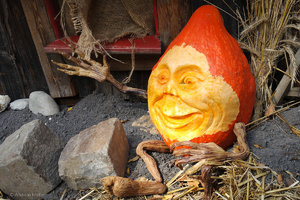 SAM_0898.jpg SAM_0898.jpg