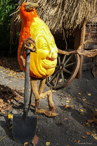 SAM_0884.jpg SAM_0884.jpg