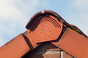 Bild -6.JPG Bild -6.JPG