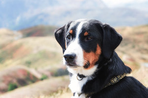 Fotoforum (7 von 9).jpg