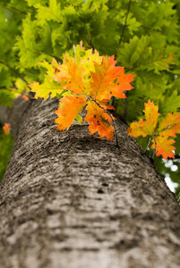 Bild 1.jpg Bild 1.jpg