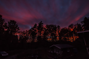 IMG_7700.jpg IMG_7700.jpg