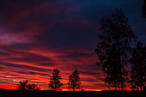 IMG_7726.jpg IMG_7726.jpg