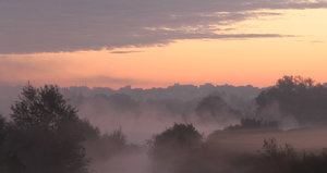 comp_IMG_1962-2-2.jpg comp_IMG_1962-2-2.jpg