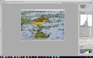 Vollbildaufzeichnung 17.10.2015 140137.jpg