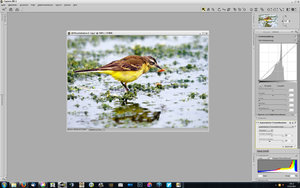 Vollbildaufzeichnung 17.10.2015 141207.jpg