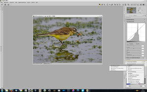 Vollbildaufzeichnung 17.10.2015 141242.jpg