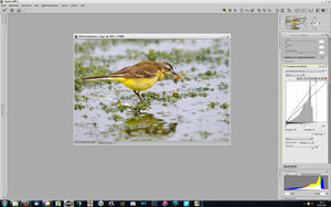 Vollbildaufzeichnung 17.10.2015 141323.jpg