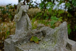 1_FUJI2156.jpg 1_FUJI2156.jpg