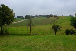 1_FUJI2178.jpg 1_FUJI2178.jpg