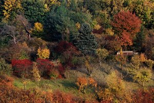 comp_14684-herbst-2 +.jpg