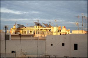 Bild - 1.jpg Bild - 1.jpg