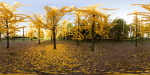 KuPa 01-Forum.jpg KuPa 01-Forum.jpg