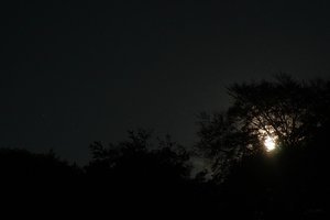 Forum DSC03063 Nex 5r + Meyer Telefogar 3,5 90mm (c) PPf.jpg