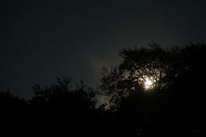 Forum DSC03065 Nex 5r + Meyer Telefogar 3,5 90mm (c) PPf.jpg