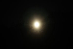 Forum DSC03068 Nex 5r + Meyer Telefogar 3,5 90mm (c) PPf.jpg