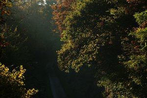 Forum DSC03014 Nex 5r + Meyer Telefogar 3,5 90mm (c) PPf.jpg