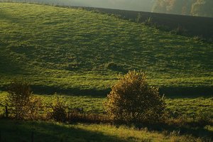 Forum DSC03041 Nex 5r + Meyer Telefogar 3,5 90mm (c) PPf.jpg
