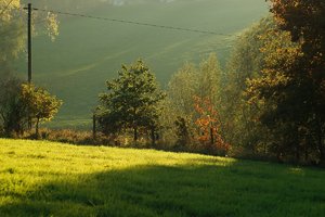 Forum DSC03052 Nex 5r + Meyer Telefogar 3,5 90mm cr (c) PPf.jpg