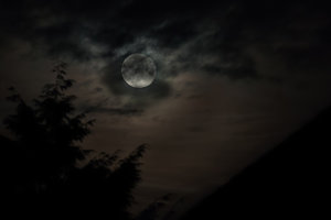 comp_IMG_5831 Kopie.jpg