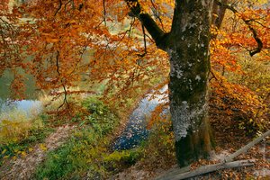 _9-_309-BF.jpg _9-_309-BF.jpg