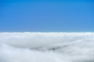 14-_537-2_BF.jpg 14-_537-2_BF.jpg