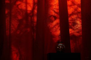 Forum DSC03202 Nex 5r + Elicar 2,5 90mm (c) PPf.jpg