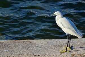 DSC_5908_ji_c.jpg DSC_5908_ji_c.jpg