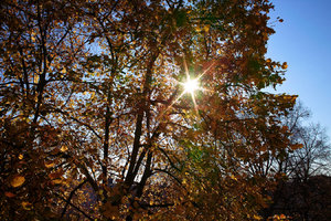 2015_11_03_DP1s_Linde_Balkon_0065_VarA_DT01_1350x900pix.jpg 2015_11_03_DP1s_Linde_Balkon_0065_VarA_DT01_1350x900pix.jpg