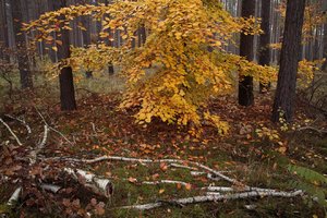 SDIM0002_JPGooSPP422.jpg SDIM0002_JPGooSPP422.jpg