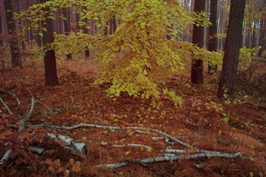 SDIM0744_JPGooSPP422.jpg SDIM0744_JPGooSPP422.jpg