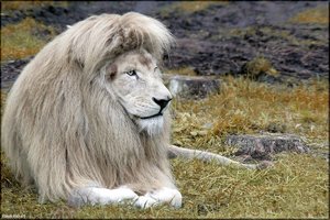 Bild - 14.jpg Bild - 14.jpg