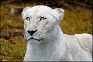 Bild - 15.jpg Bild - 15.jpg